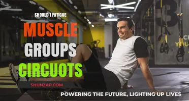 Should You Fatigue Muscle Groups in Circuits? Pros and Cons Explained