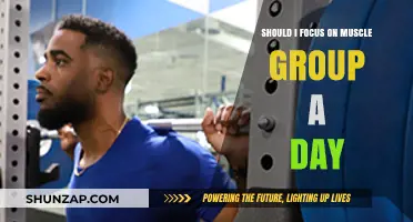 Should You Train One Muscle Group a Day? Pros and Cons