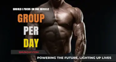 One Muscle Group Per Day: Effective Strategy or Time Waster?