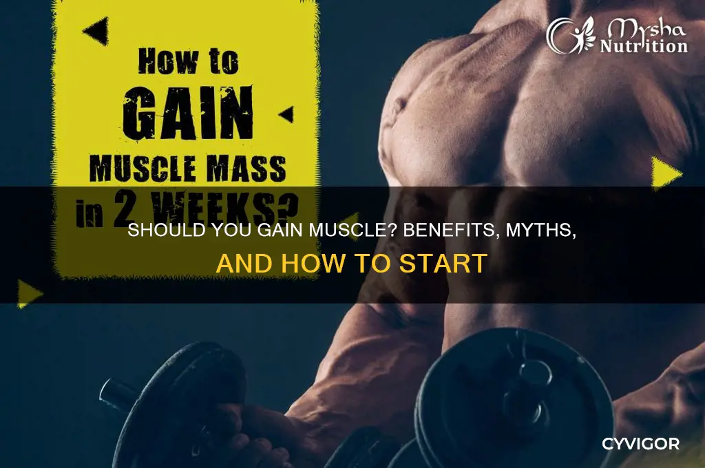should i gain muscle