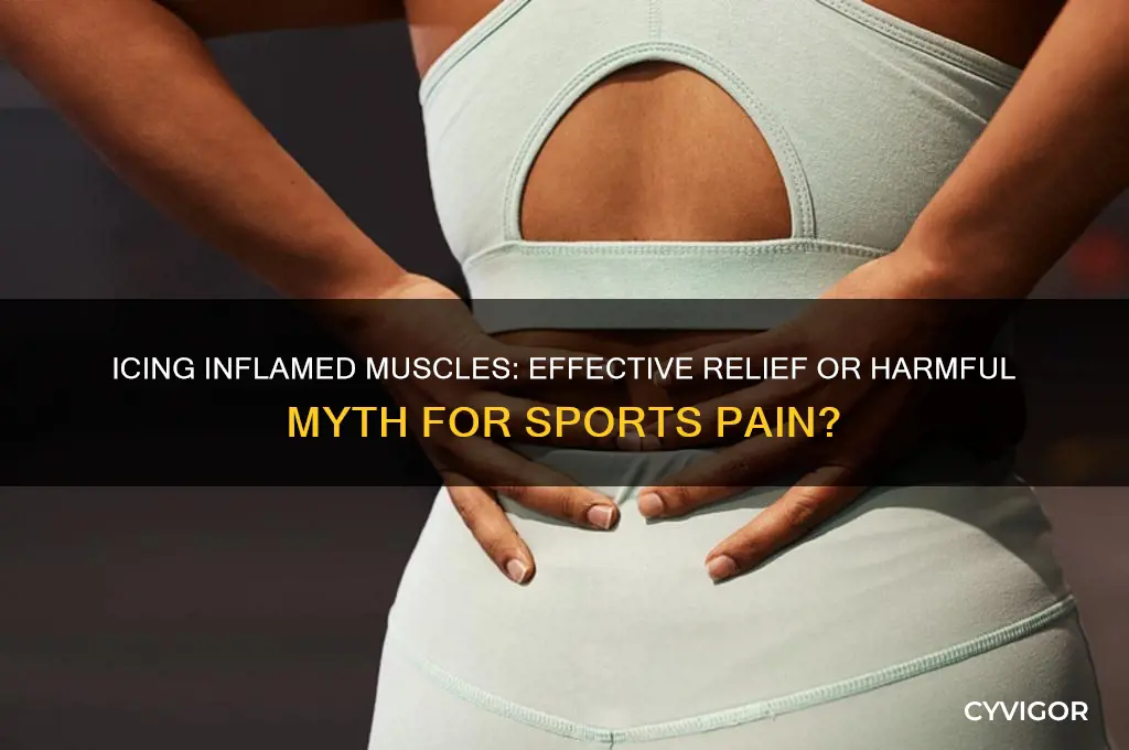 should i ice inflamed muscle sports pain