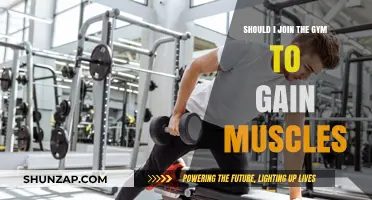 Should You Join the Gym to Build Muscle? Pros and Cons