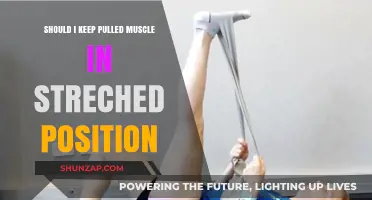 Should You Stretch a Pulled Muscle? Facts and Recovery Tips