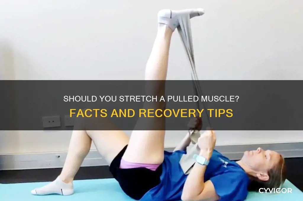 should i keep pulled muscle in streched position