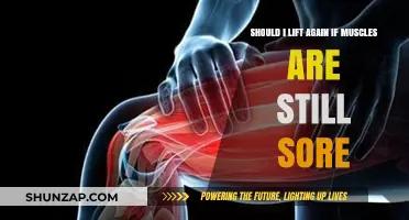 Sore Muscles: Should You Lift Again or Rest First?