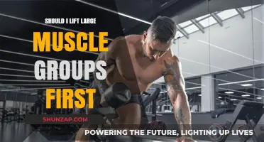 Prioritize Large Muscle Groups First: Maximize Strength and Efficiency in Workouts