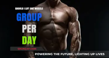 One Muscle Group Per Day: Effective or Overkill for Your Workouts?