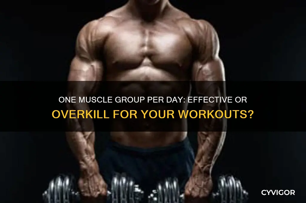 should i lift one muscle group per day
