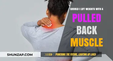 Pulled Back Muscle: Should You Continue Lifting Weights?