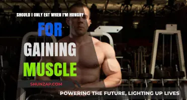 Eat Only When Hungry: Effective Muscle Gain Strategy or Myth?