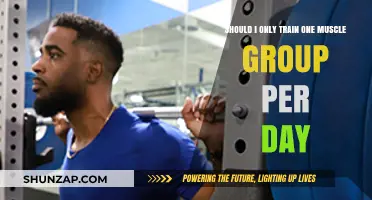 One Muscle Group Per Day: Effective or Overkill for Training?