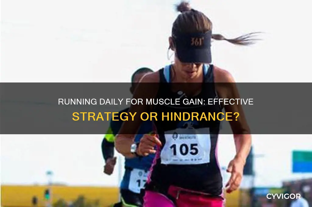 should i run everyday if i want to gain muscle