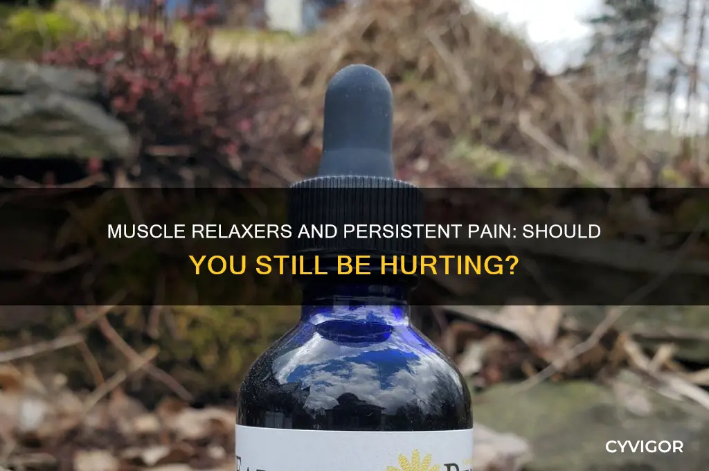 should i still be in pain on muscle relaxers