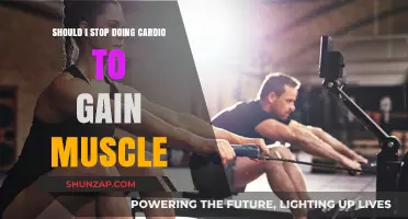 Cardio vs. Muscle Gain: Should You Ditch Cardio for Bulk?