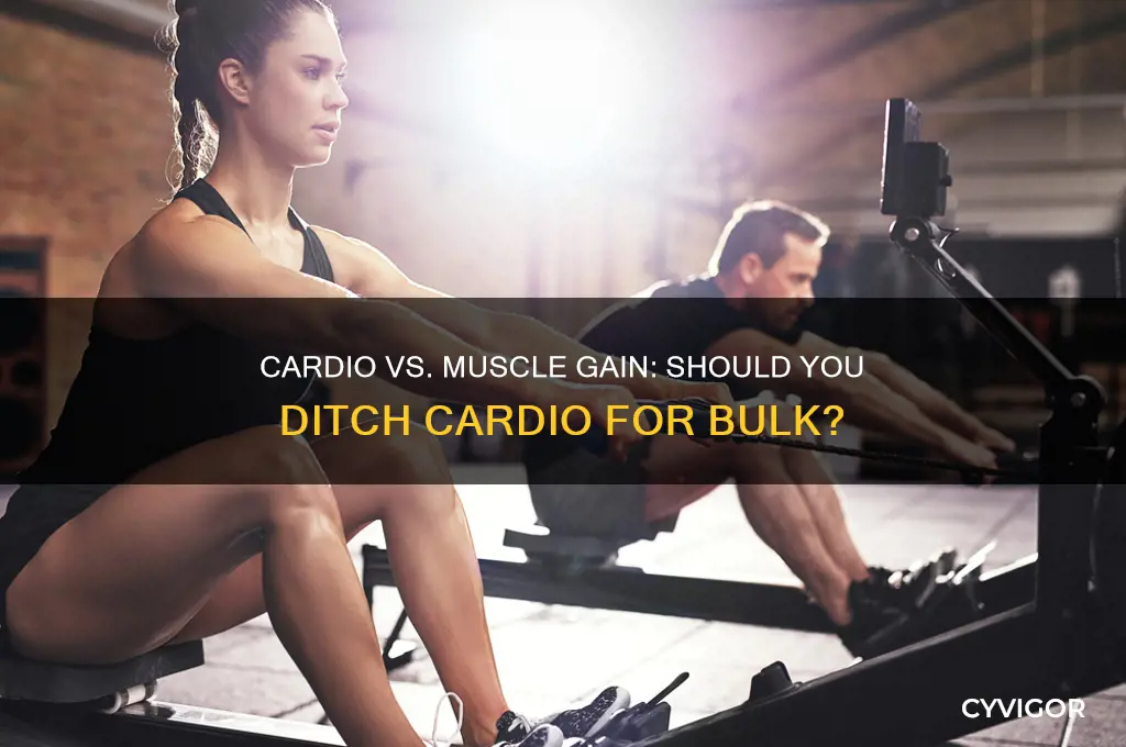 should i stop doing cardio to gain muscle