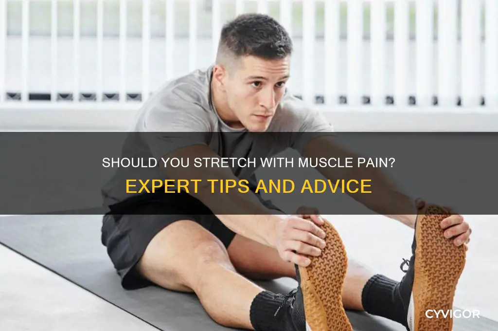should i streach if i have muscle pain