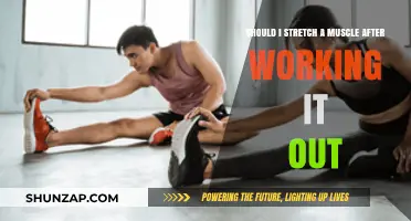 Post-Workout Stretching: Essential or Optional for Muscle Recovery?