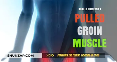 Pulled Groin Muscle: To Stretch or Not? Expert Advice