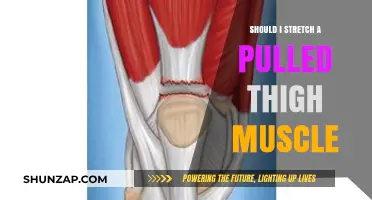 Pulled Thigh Muscle: To Stretch or Not? Expert Advice