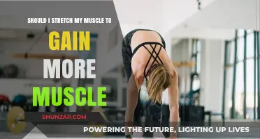 Stretching for Muscle Growth: Myth or Effective Strategy?