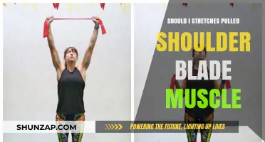 Pulled Shoulder Blade Muscle: Should You Stretch It? Expert Tips