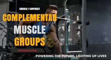 Supersetting Complementary Muscle Groups: Benefits, Strategies, and Best Practices