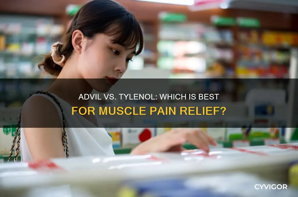 should i take advil or tylenol for muscle pain