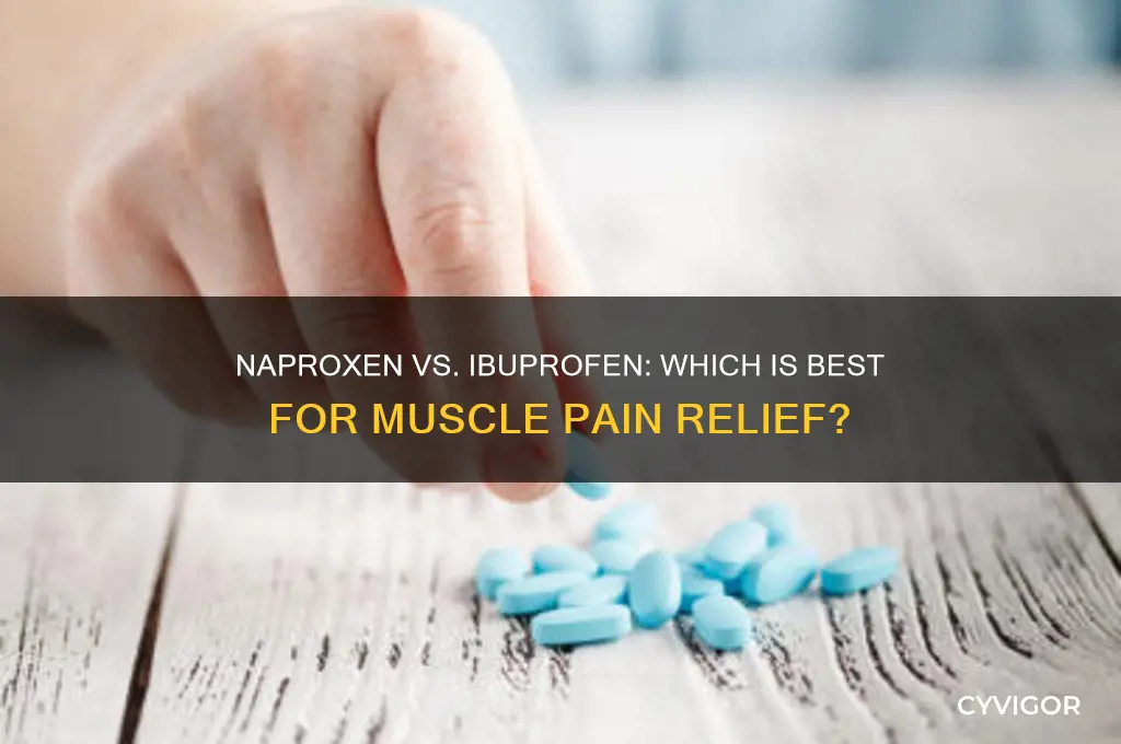 should i take naproxen or ibuprofen for muscle pain