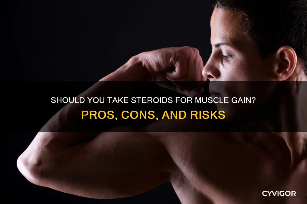 should i take steroids for muscle gain