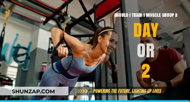 One vs. Two: Optimal Muscle Group Training Frequency Explained