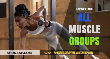 Should You Train All Muscle Groups? A Comprehensive Fitness Guide