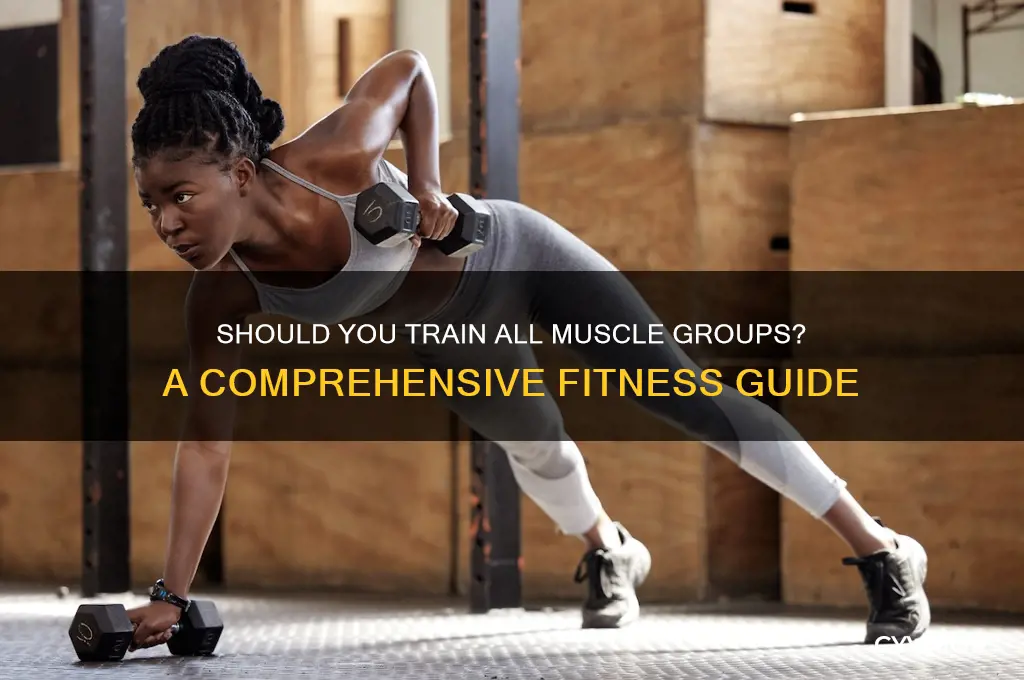 should i train all muscle groups
