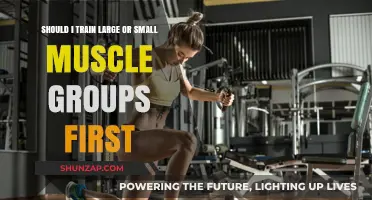 Large or Small Muscles First: Optimizing Your Workout Routine