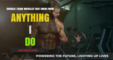 Muscle Growth Myths: Should You Train Every Muscle, Every Time?