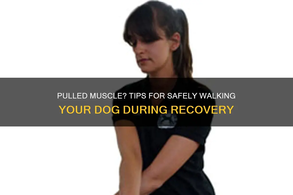 should i walk dog with pulled muscle