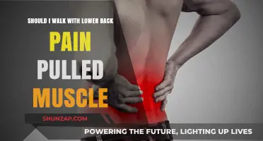 Walking with Lower Back Pain: Safe Steps for Pulled Muscle Recovery