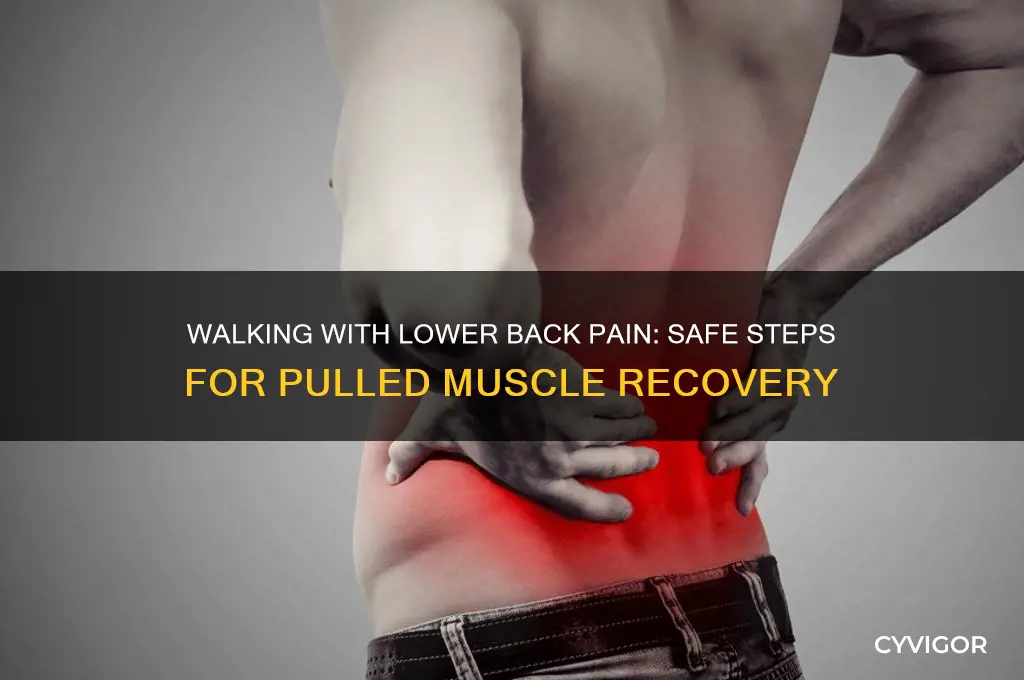 should i walk with lower back pain pulled muscle