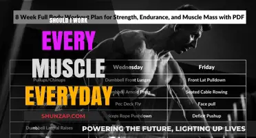Daily Full-Body Workouts: Effective or Counterproductive for Muscle Growth?