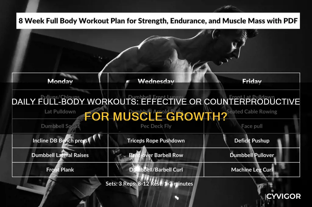 should i work every muscle everyday