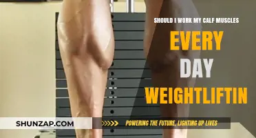 Daily Calf Training: Effective or Excessive for Weightlifting Progress?