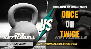 Single vs. Double Muscle Workouts: Which Training Frequency Fits You?