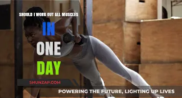 Full-Body Workouts: Pros, Cons, and Best Practices for Daily Training
