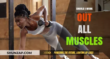 Should You Train All Muscles? Full-Body Workout Pros and Cons