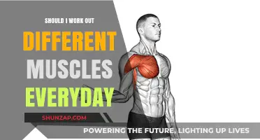 Daily Muscle Rotation: Effective or Overkill for Your Workout Routine?