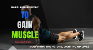 Daily Workouts vs. Muscle Gain: Finding the Optimal Training Balance