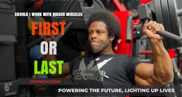 Bigger Muscles First or Last: Optimizing Your Workout Routine