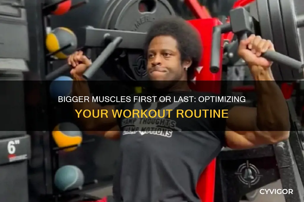 should i work with bigger muscles first or last
