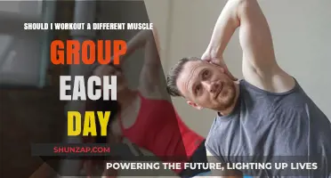 Daily Muscle Rotation: Effective or Overkill for Your Workout Routine?