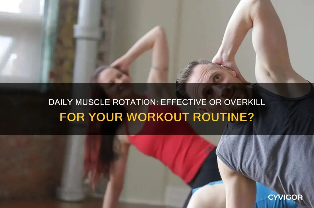 should i workout a different muscle group each day