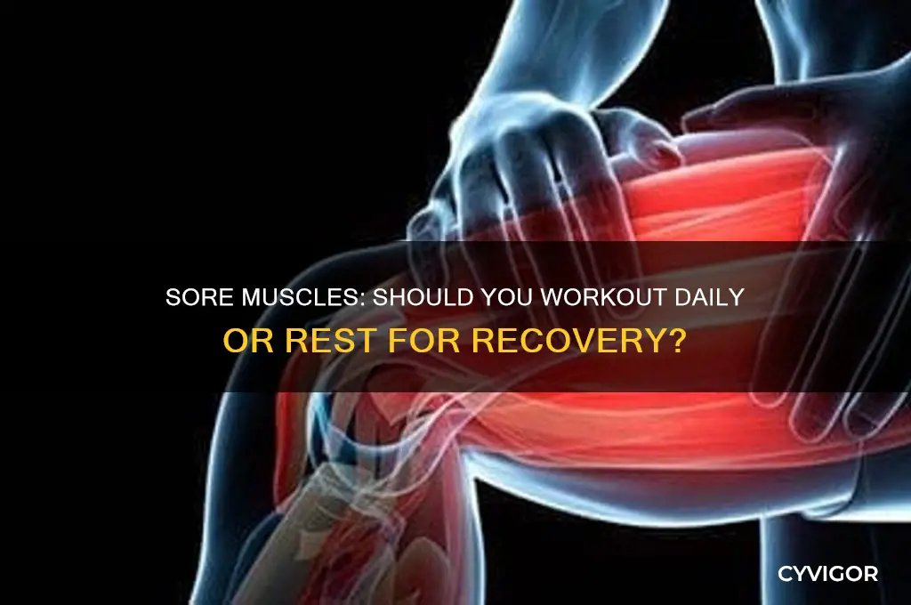 should i workout everyday with sore muscles